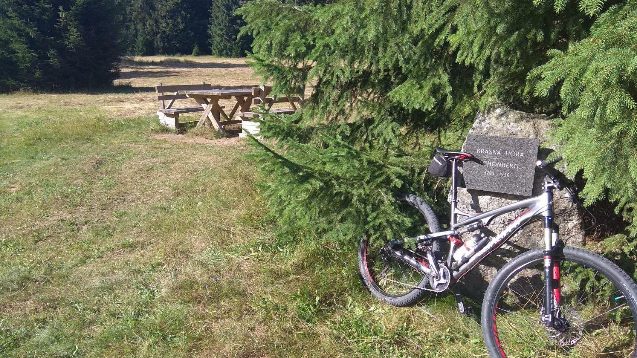 Apt.Jana ,Apt.Terezka Stožec المظهر الخارجي الصورة